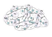 Brodmann Areas with 10-20 Electrode Sites